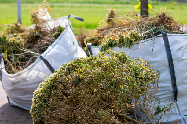 Best Appliance Removal Near Me  in Dacula, GA